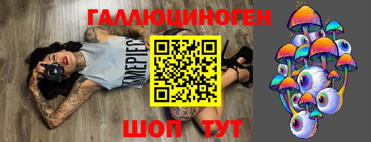 Галлюциногенные грибы мицелий  Вход с VPN  Майкоп 