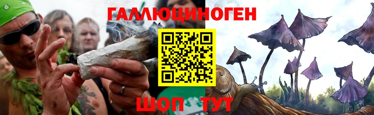 Галлюциногенные грибы мицелий Майкоп